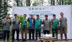 penanaman pohon untuk lestrikan sumber air