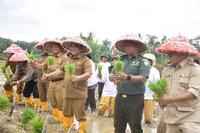 Gerakan Tanam Padi Serentak Aceh Tamiang