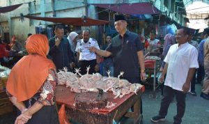 pantau harga tamiang