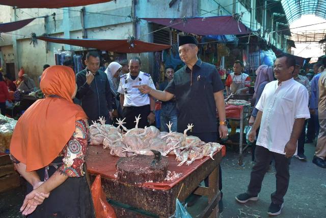 pantau harga tamiang