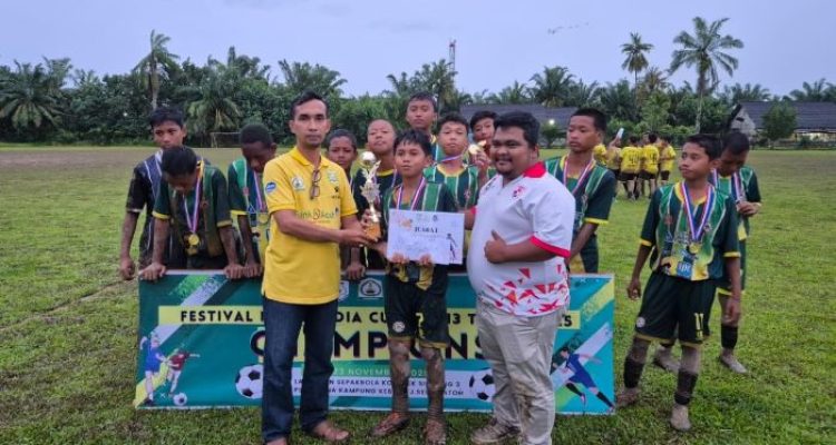 muda sedia cup