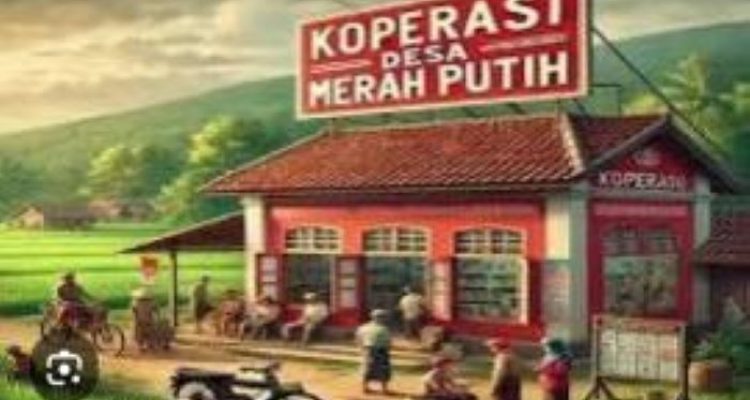 koperasi