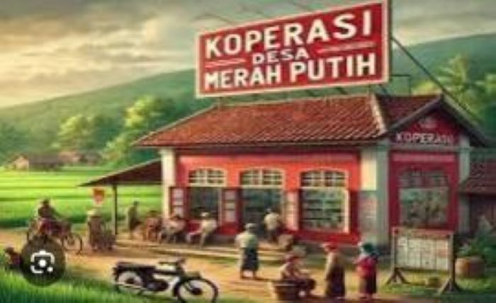 koperasi