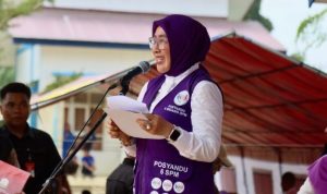 posyandu nasional