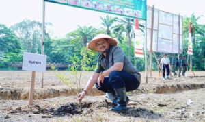 bupati aceh tamiang pangan