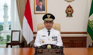 zaini
