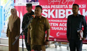 pemkab aceh tamiang