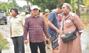 pantau banjir
