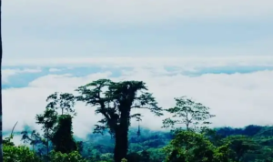 wisata bukit
