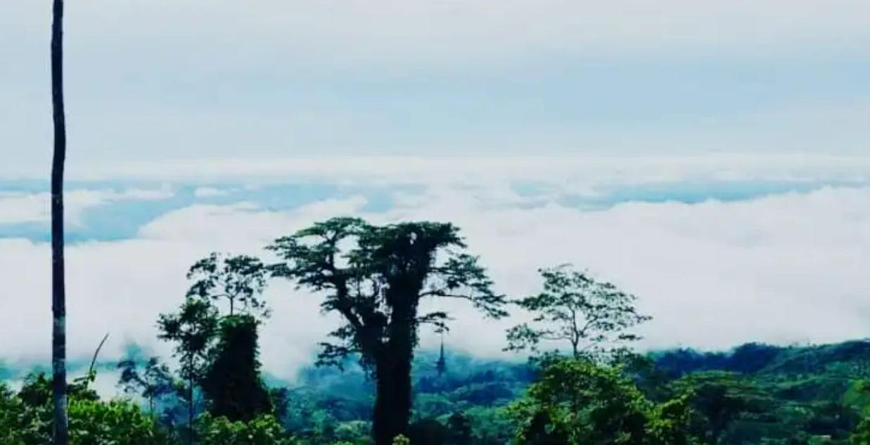 wisata bukit
