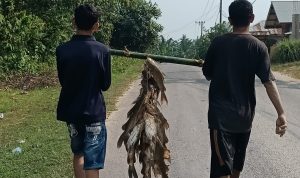 air sungai
