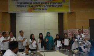 Audit stunting atam