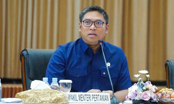 kelapa sawit