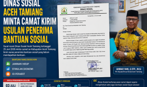 dinas sosial
