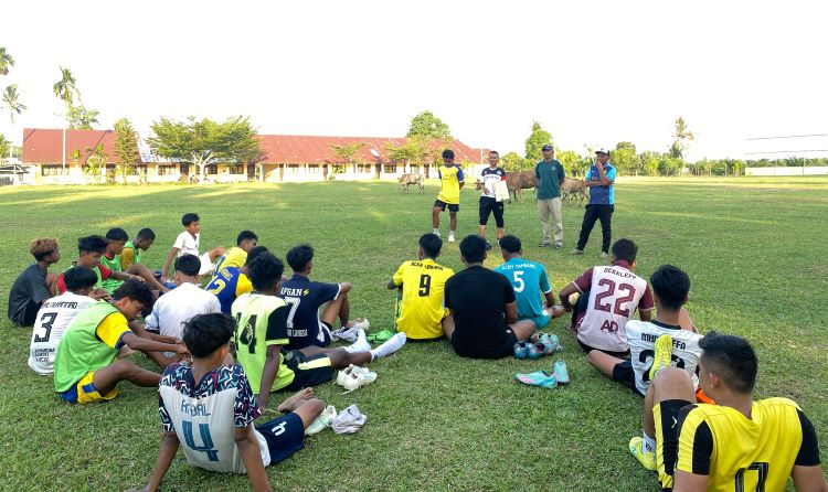 sedia