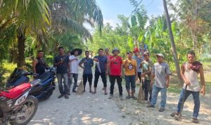 gotong royong