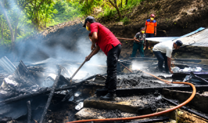 terbakar
