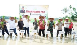 pangan