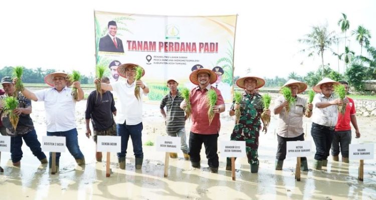 pangan